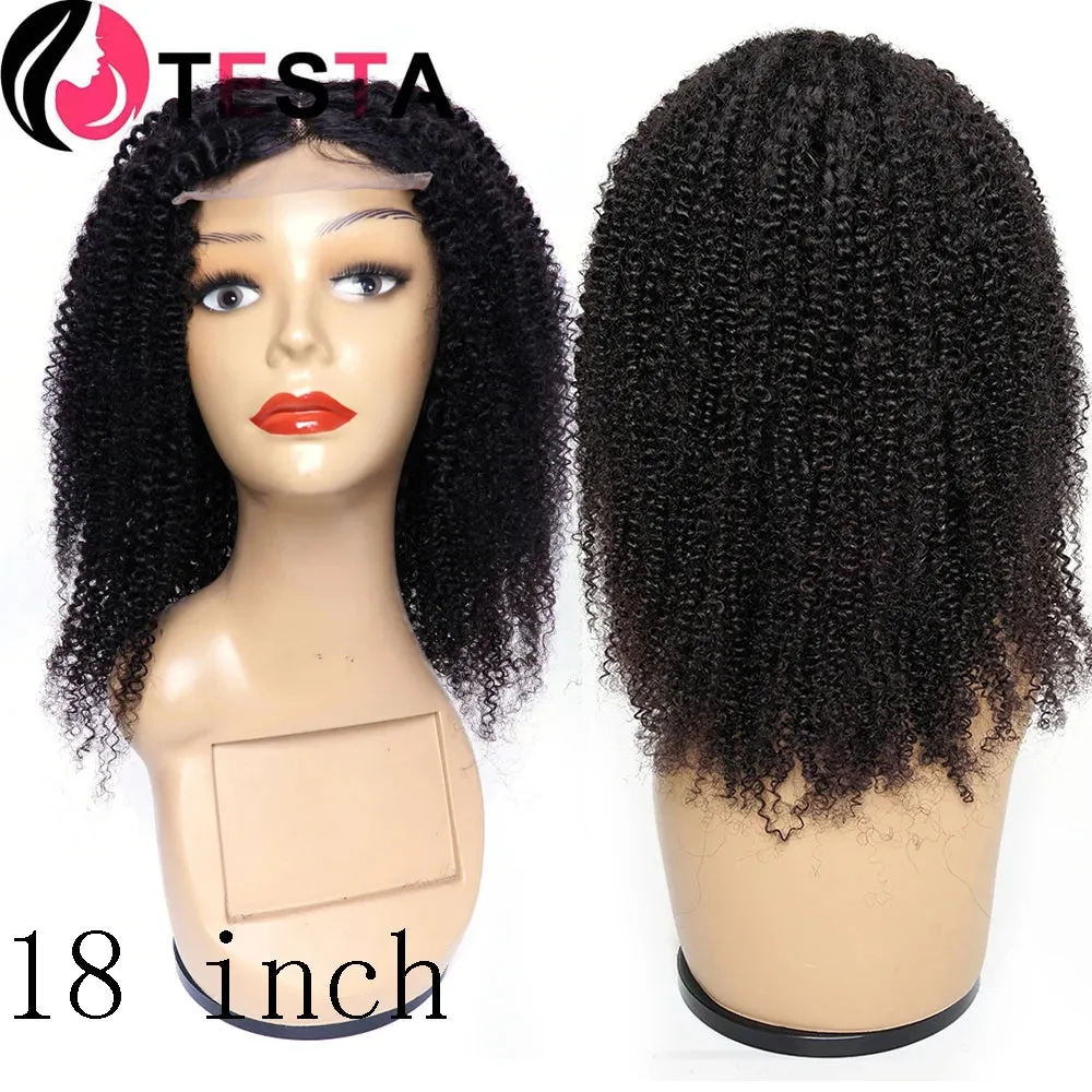 250% Density Short Afro Kinky Curly Wig | 4x4 Lace Closure | 100% HD Lace Indian Remy Hair Wig