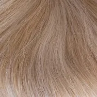 Amber Human Hair wig - Gem Collection