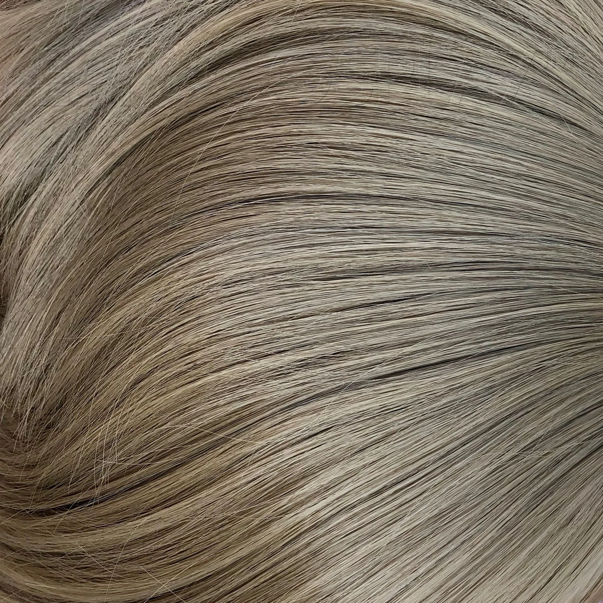 Color Sample - Ash Blonde